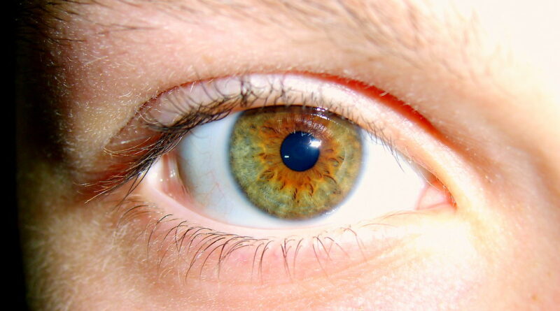 Iris del ojo humano en primer plano