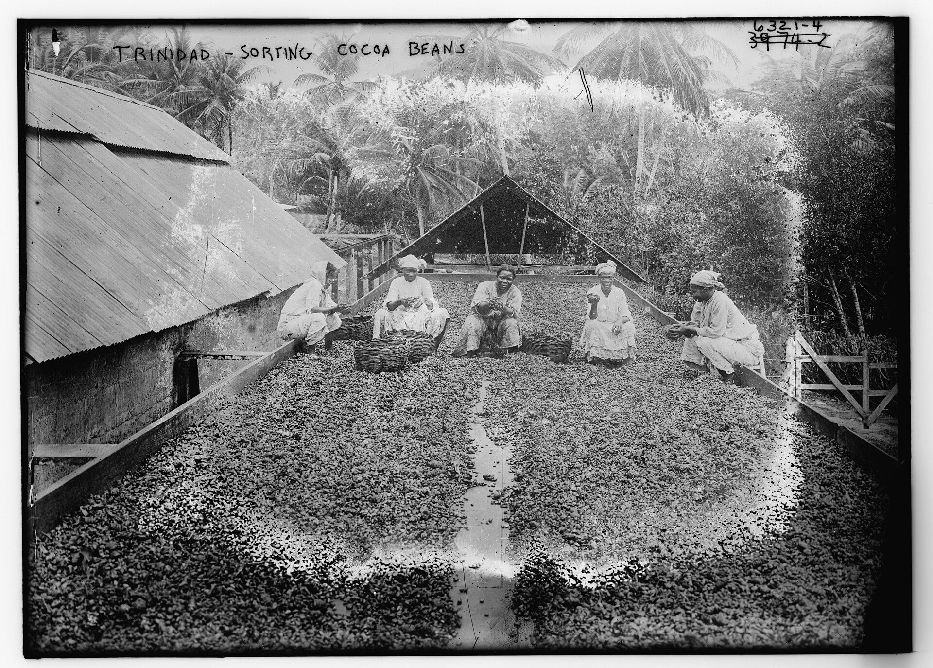La historia del chocolate: de México al mundo