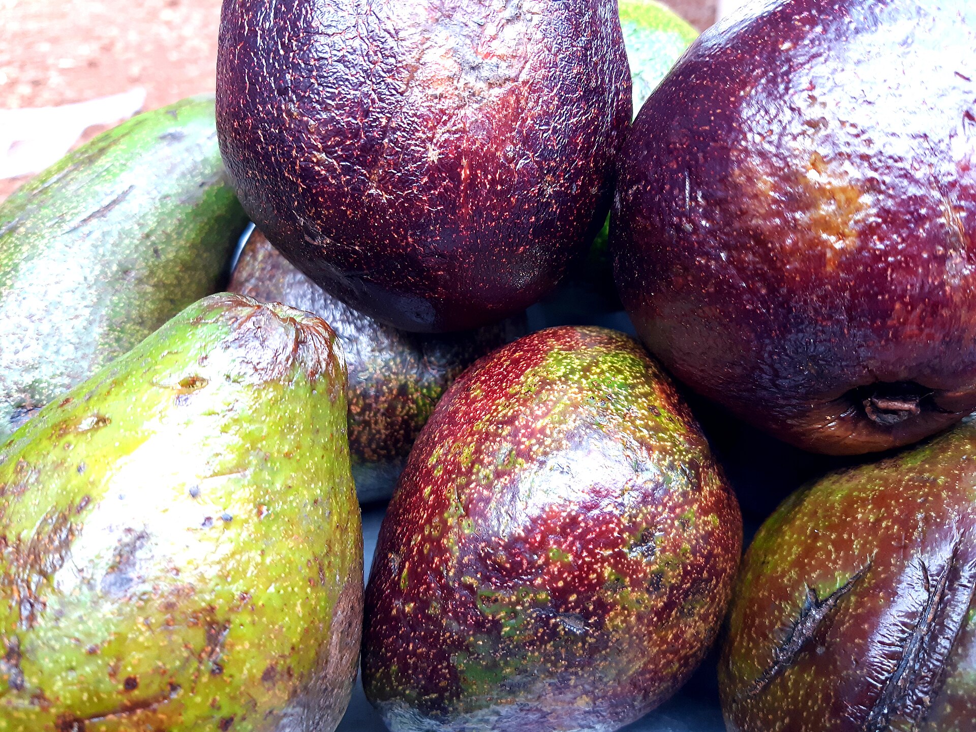 ¿Por qué el aguacate es una fruta y no una verdura?