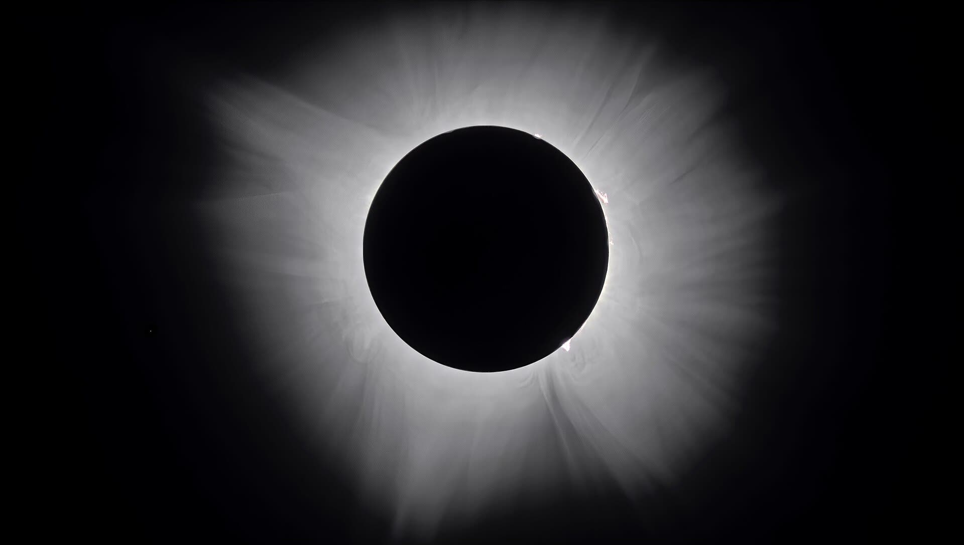 La corona solar durante el eclipse total de 2024
